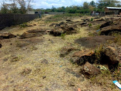 Mixed Use 2 Acre Plot in Naivasha - Image 7