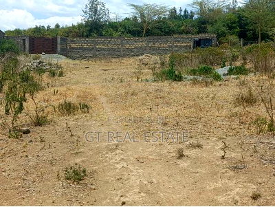 Mixed Use 2 Acre Plot in Naivasha - Image 6