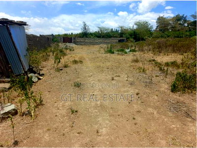 Mixed Use 2 Acre Plot in Naivasha - Image 3