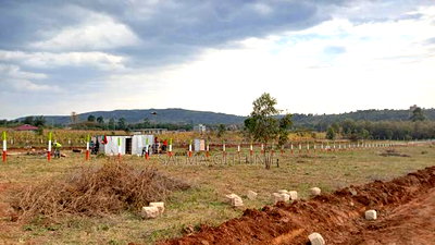 Ready to Build Plots for Sale in Kikuyu ,Kamangu-Nachu Area - Image 2