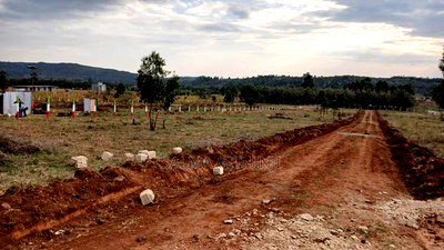 Ready to Build Plots for Sale in Kikuyu ,Kamangu-Nachu Area - Image 7