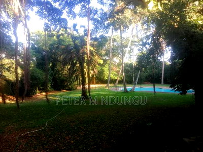 Old Nyali Mombasa 1.2acres - Image 1