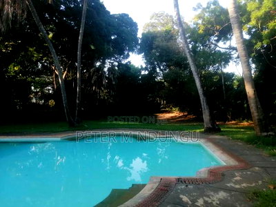 Old Nyali Mombasa 1.2acres - Image 4