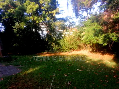 Old Nyali Mombasa 1.2acres - Image 3