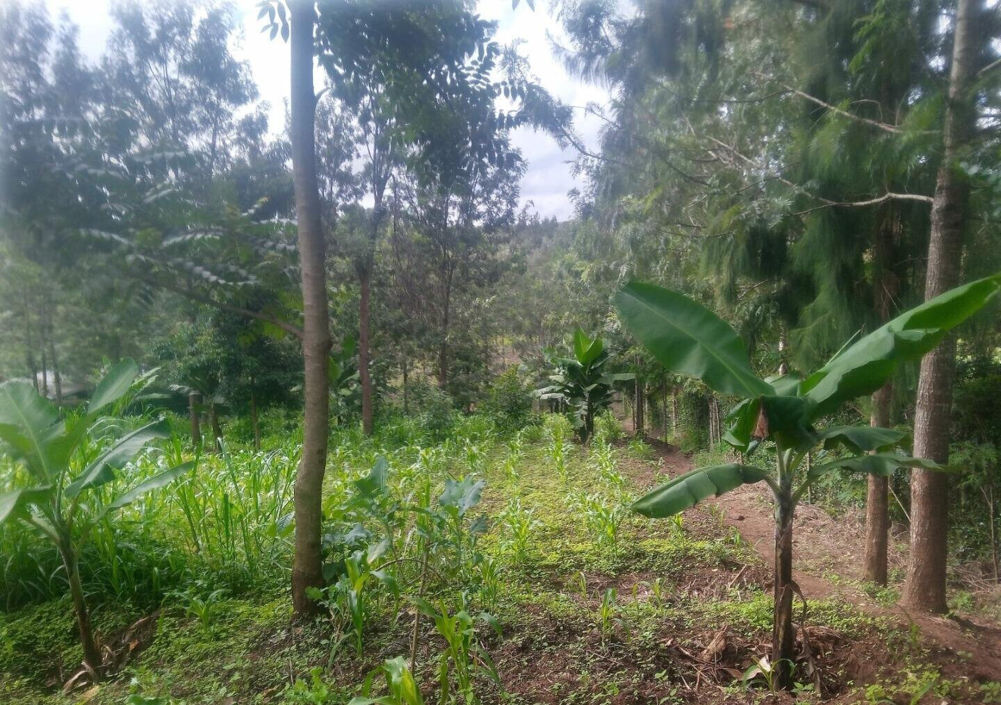 1-Acre Plot with River Frontage in Oloolua