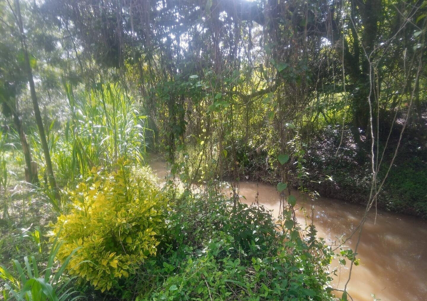 1-Acre Plot with River Frontage in Oloolua