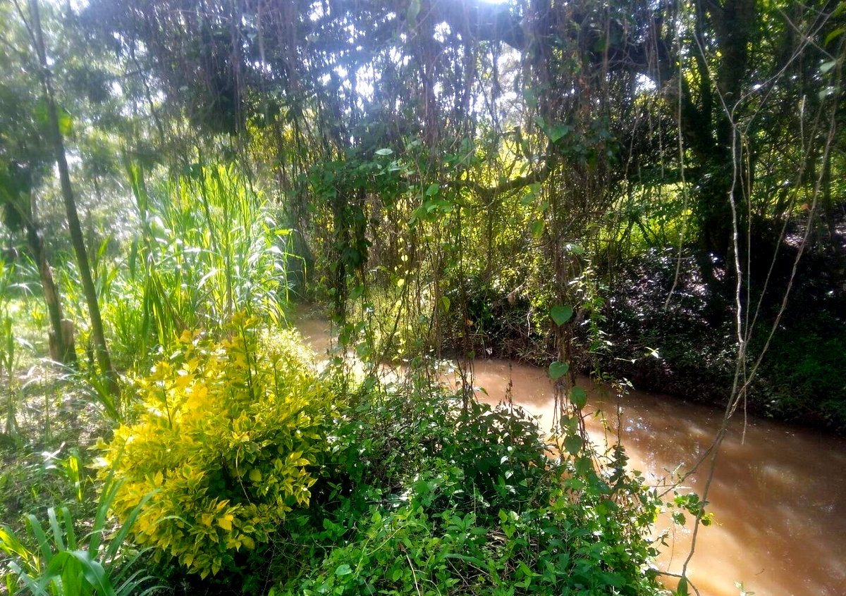 1-Acre Plot with River Frontage in Oloolua