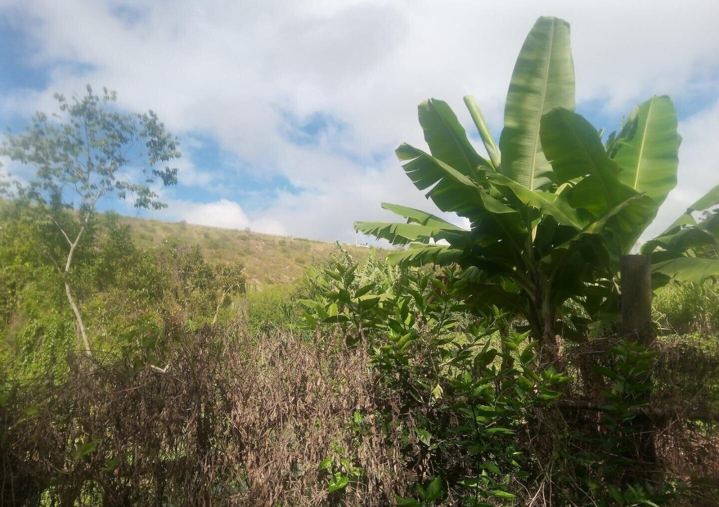 1-Acre Plot with River Frontage in Oloolua