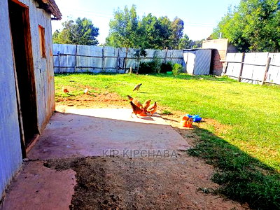 2 Bedroom House for Sale in Chepkanga Eldoret - Image 7