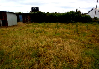 Quarter Acre in Eldoret East for KSh 4.5M