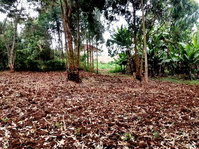 50x100 Residential Plot for Sale In - Image 2