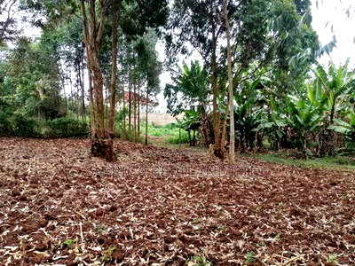 50x100 Residential Plot for Sale In - Image 4