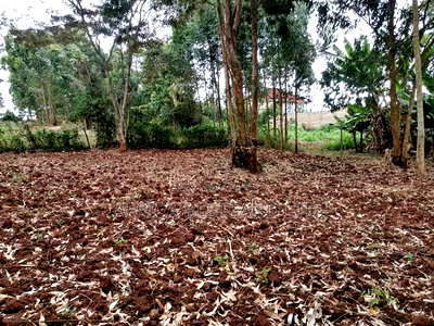 50x100 Residential Plot for Sale In - Image 3