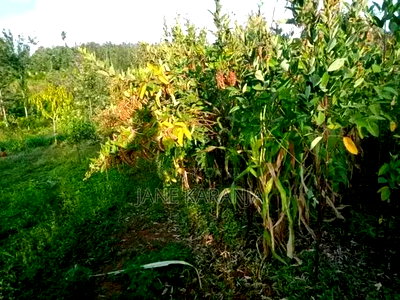 1 Acre of Land Muranga County 6km From Thika Garisa Highway - Image 1