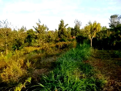 1 Acre of Land Muranga County 6km From Thika Garisa Highway - Image 2