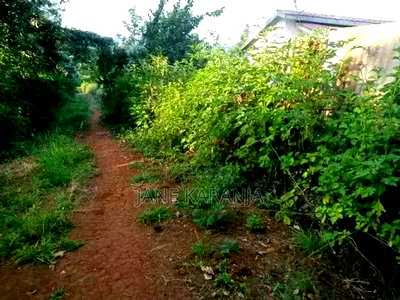 1 Acre of Land Muranga County 6km From Thika Garisa Highway - Image 4