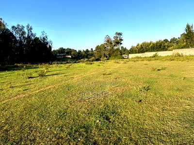 Karen-Dagorreti Road 2.3acres Next to Fadhili Gardens - Image 18