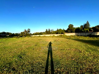 Karen-Dagorreti Road 2.3acres Next to Fadhili Gardens - Image 13