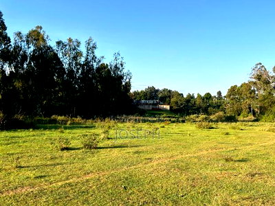 Karen-Dagorreti Road 2.3acres Next to Fadhili Gardens - Image 10