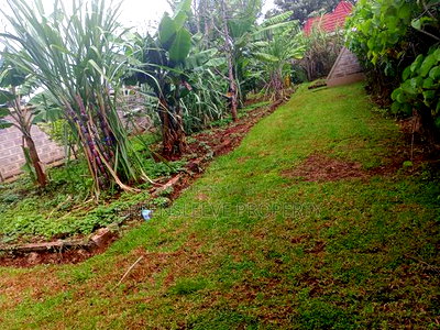 4bdrm House in Karen for rent - Image 6