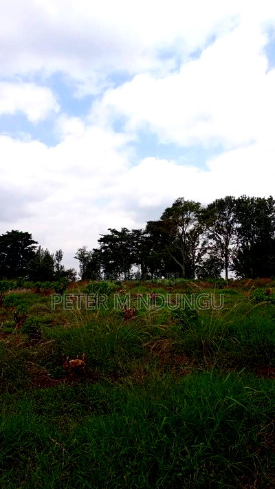 Prime Land on Sale, 55 Acres - Image 4