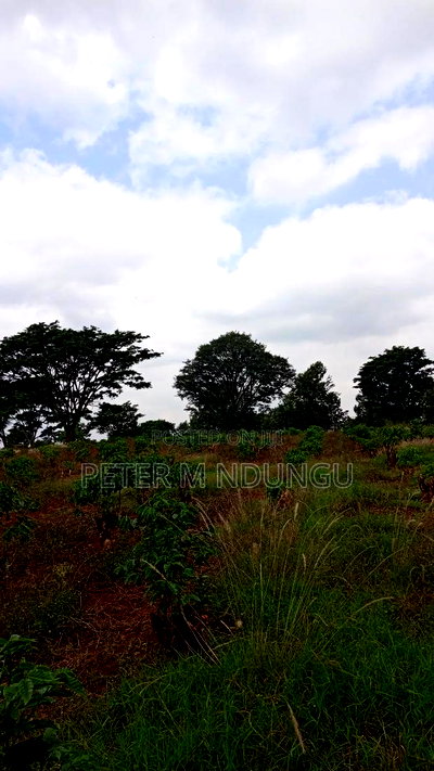 Prime Land on Sale, 55 Acres - Image 5