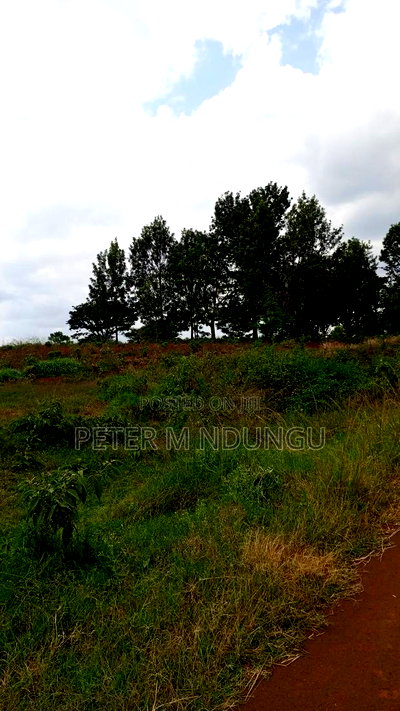 Prime Land on Sale, 55 Acres - Image 3