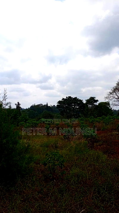 Prime Land on Sale, 55 Acres - Image 6