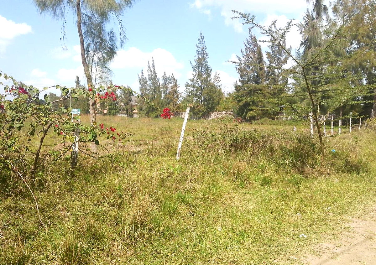 1/2 Acre Garden Plot with Parking - Karen