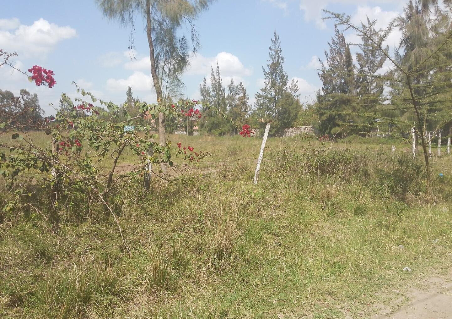 1/2 Acre Garden Plot with Parking - Karen