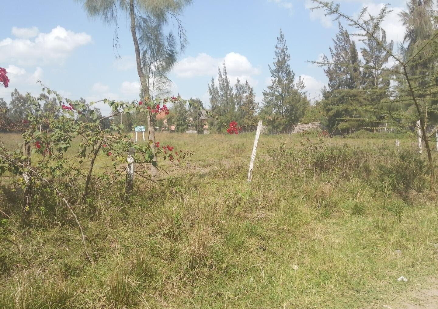 1/2 Acre Garden Plot with Parking - Karen