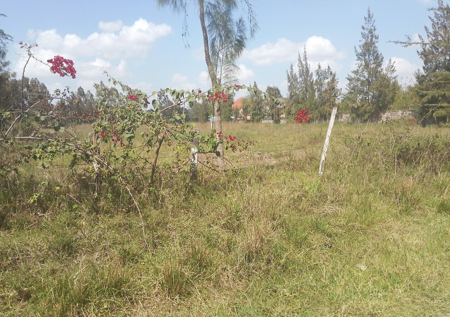 1/2 Acre Garden Plot with Parking - Karen