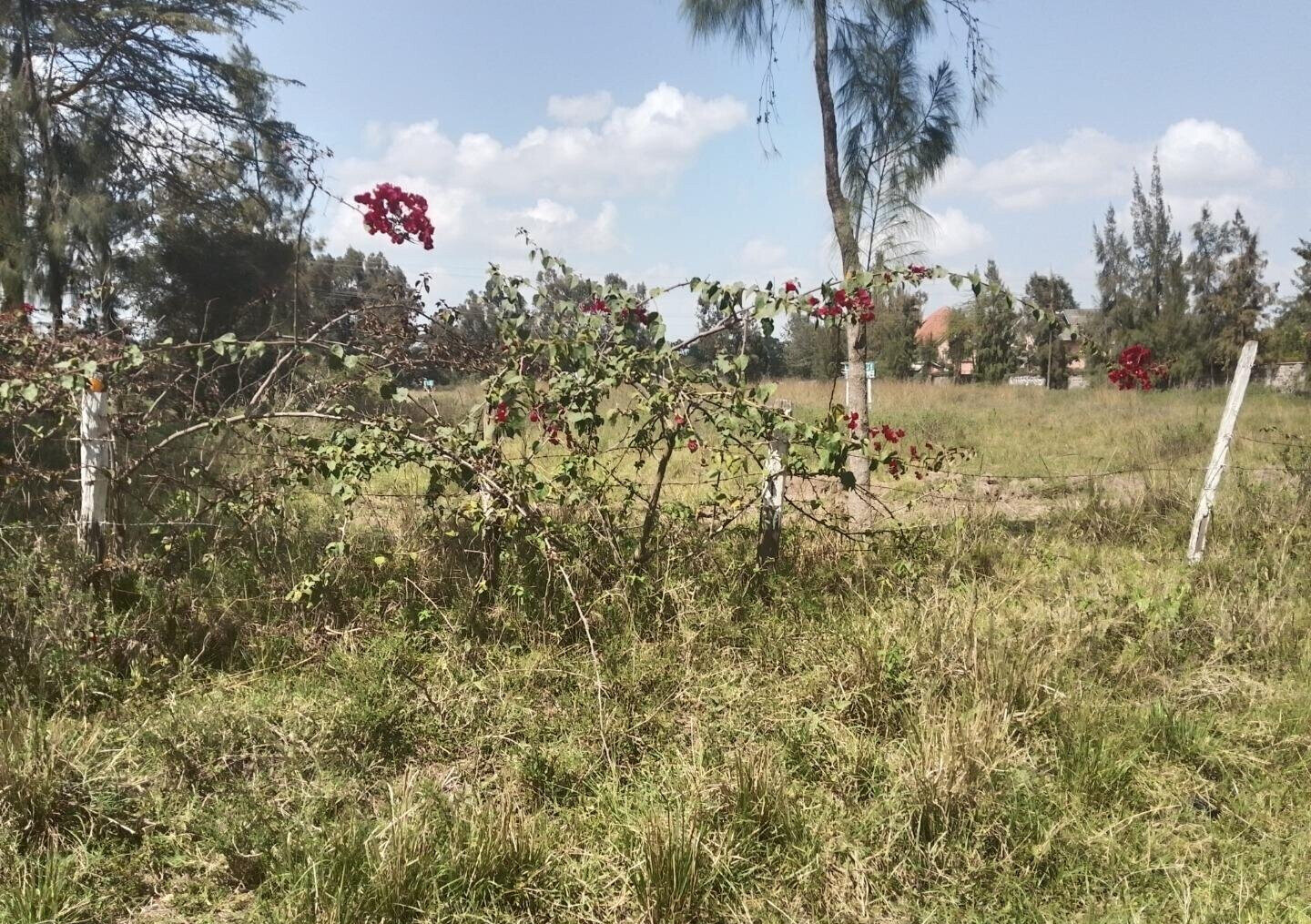 1/2 Acre Garden Plot with Parking - Karen