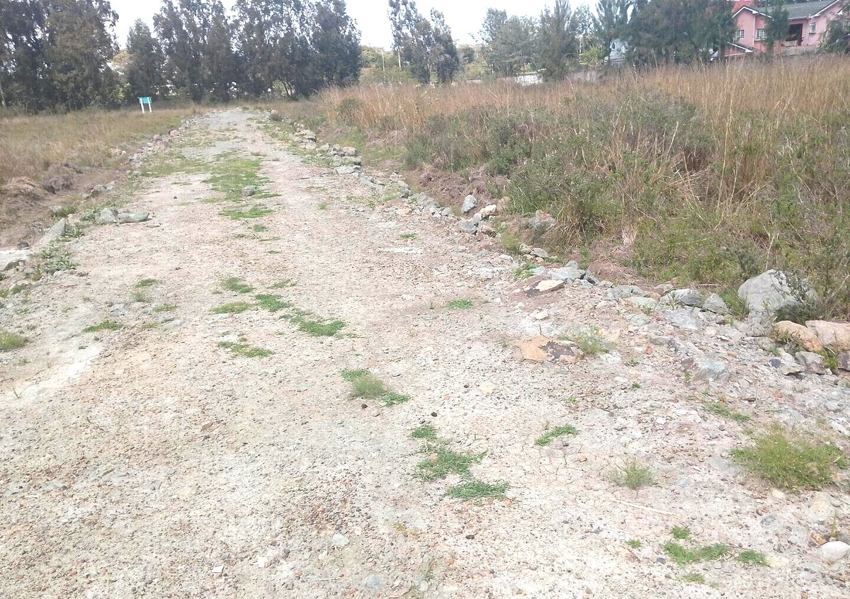 1/2 Acre Garden Plot with Parking - Karen