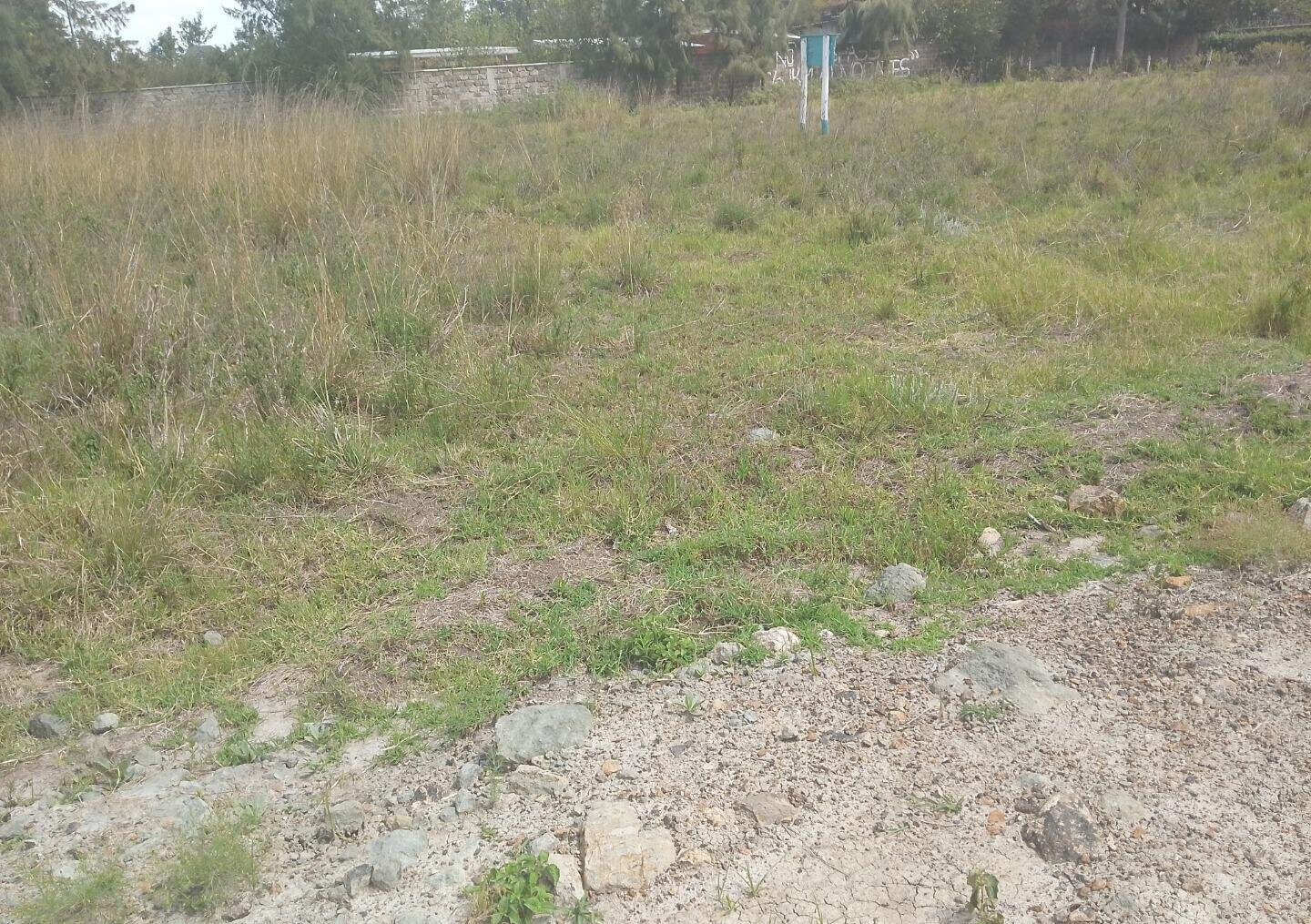 1/2 Acre Garden Plot with Parking - Karen