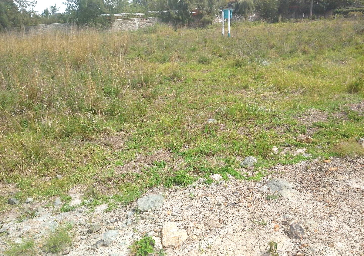 1/2 Acre Garden Plot with Parking - Karen