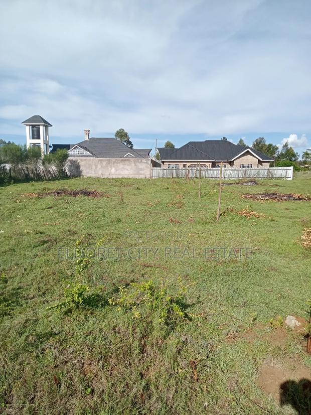 1/4 Plot Rolyton Chamazone With Title