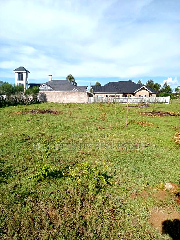 1/4 Plot Rolyton Chamazone With Title