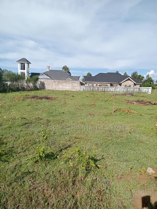 1/4 Plot Rolyton Chamazone With Title