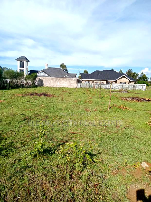 1/4 Plot Rolyton Chamazone With Title