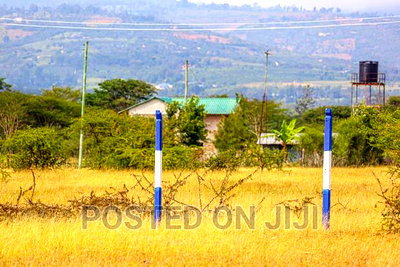 Elite Gardens in Koma. - Image 1