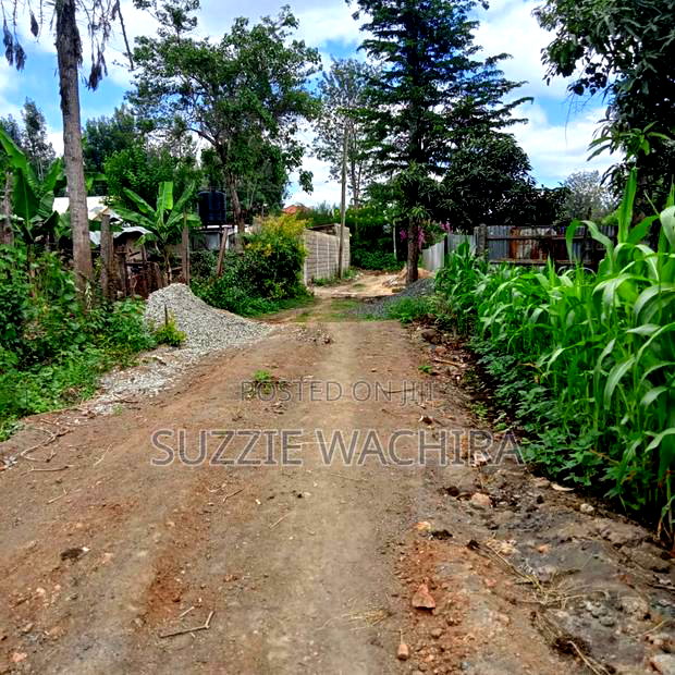 40*80 Kenol Commercial/Residential Plots for Sale