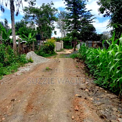 40*80 Kenol Commercial/Residential Plots for Sale - Image 2