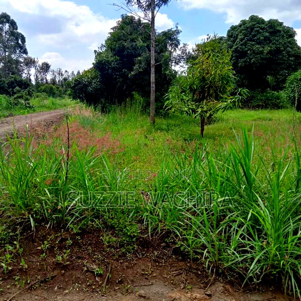 40*80 Kenol Commercial/Residential Plots for Sale