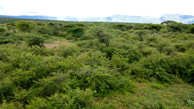 5 Acres Before Najiletown at Per Acre - Image 2