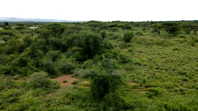 5 Acres Before Najiletown at Per Acre - Image 8