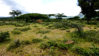 5 Acres Before Najiletown at Per Acre - Image 3