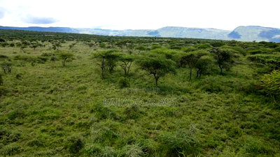 5 Acres Before Najiletown at Per Acre - Image 9