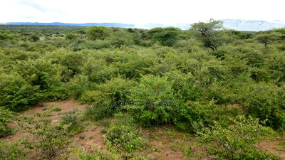 5 Acres Before Najiletown at Per Acre - Image 4