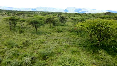 5 Acres Before Najiletown at Per Acre - Image 7